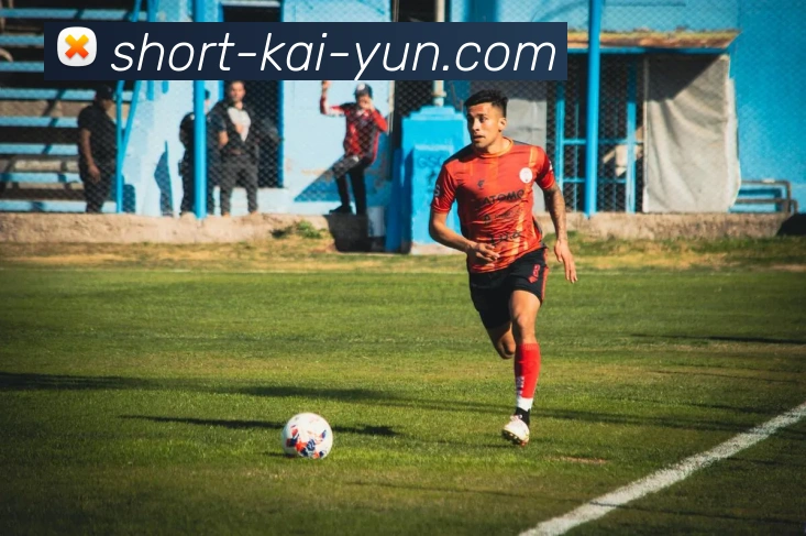 开元体育网站平台生态图